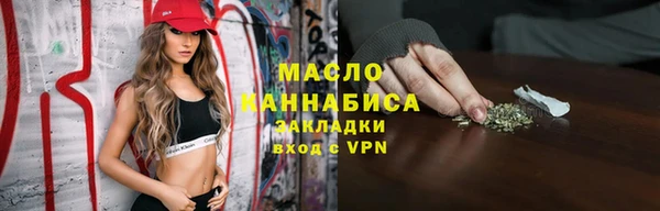 хмурый Алзамай