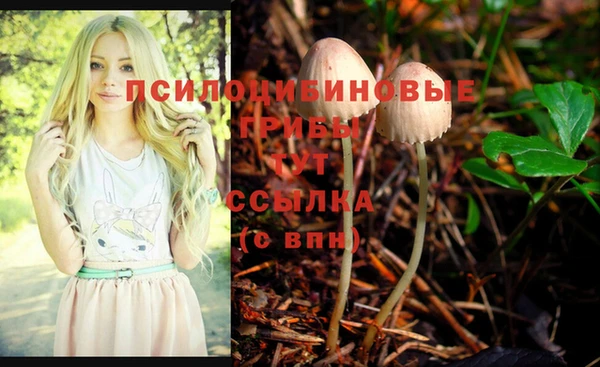 ГАЛЛЮЦИНОГЕННЫЕ ГРИБЫ Алексин