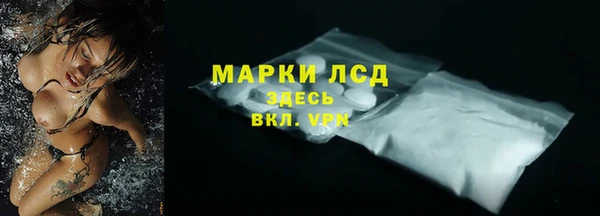 хмурый Алзамай