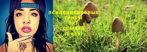 трава Абдулино