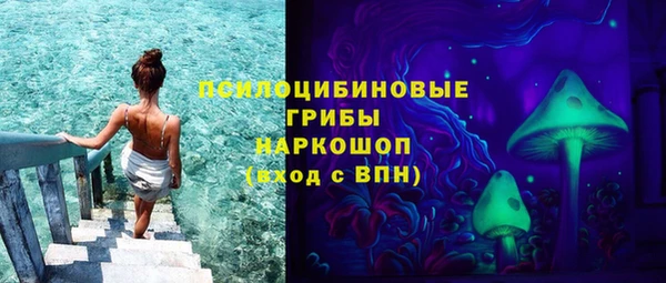 ГАЛЛЮЦИНОГЕННЫЕ ГРИБЫ Алексин