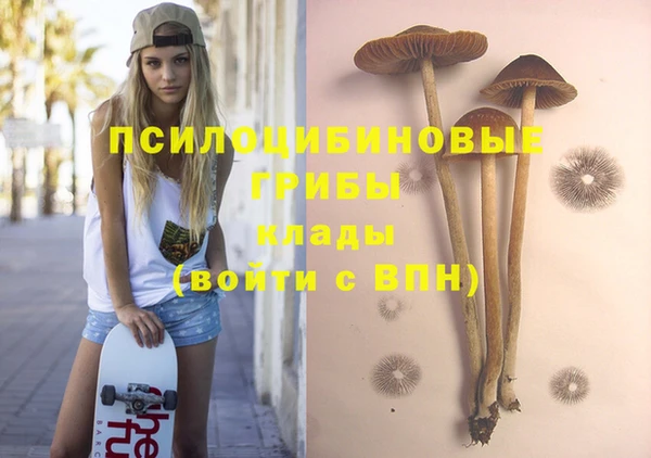 хмурый Алзамай