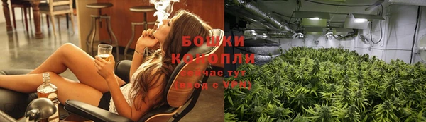 ГАЛЛЮЦИНОГЕННЫЕ ГРИБЫ Алексин