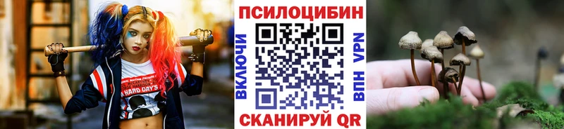 МЕГА   Раменское  Галлюциногенные грибы Magic Shrooms 