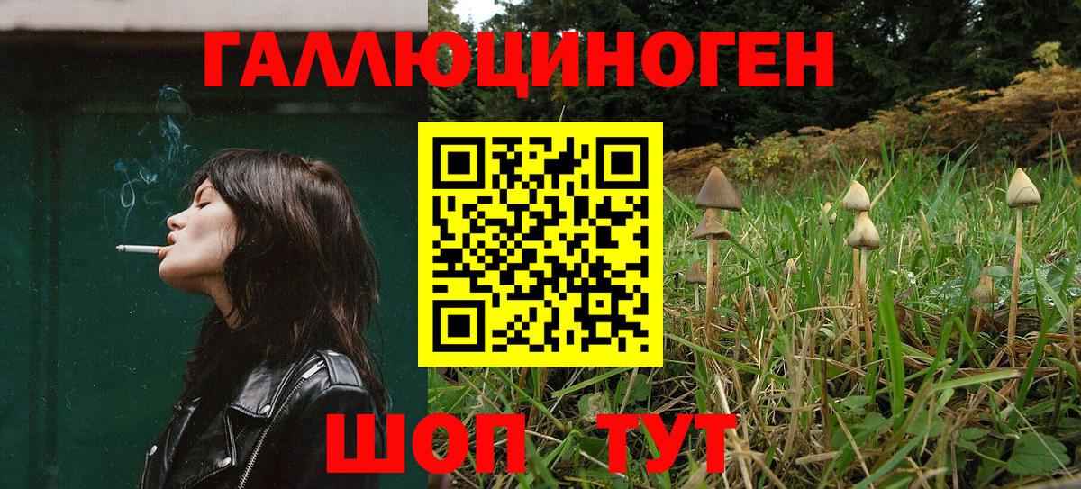 Раменское  Галлюциногенные грибы Cubensis  Вход с VPN 